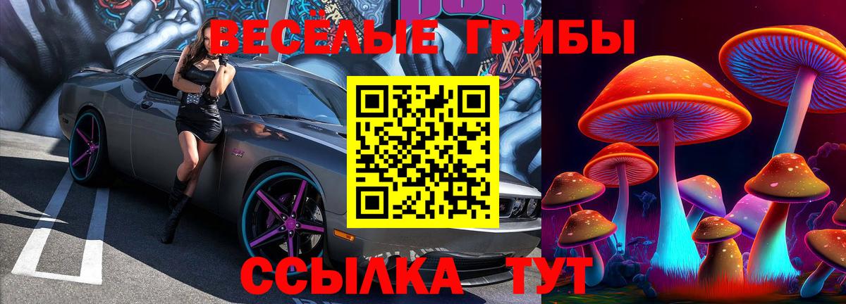 где продают   Псилоцибиновые грибы MAGIC MUSHROOMS  Вход с VPN  Арзамас 